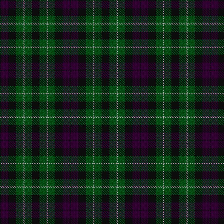 Tartan image: Wilsons' No.064 #2. Click on this image to see a more detailed version.