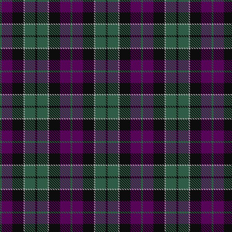 Tartan image: Wilsons' No.076. Click on this image to see a more detailed version.