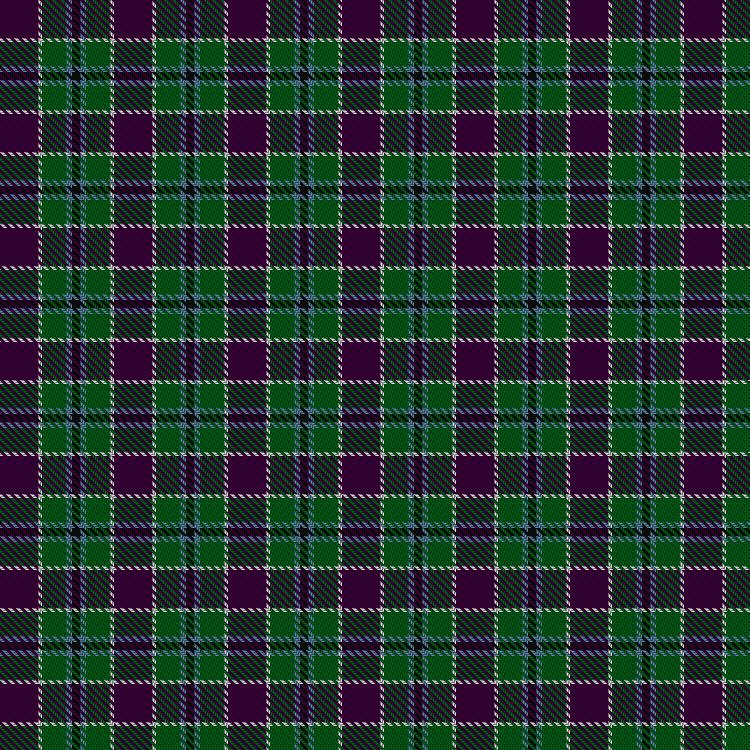 Tartan image: Wilsons' No.111. Click on this image to see a more detailed version.