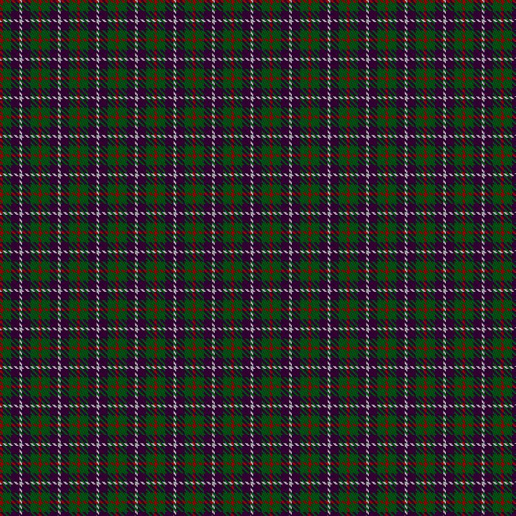 Tartan image: Wilsons' No.113. Click on this image to see a more detailed version.