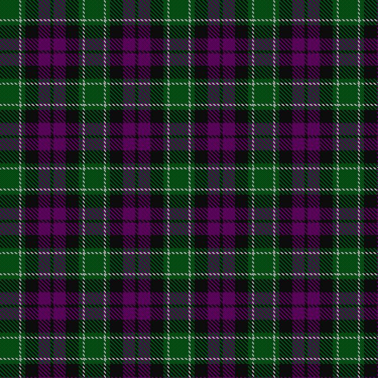 Tartan image: Wilsons' No.158. Click on this image to see a more detailed version.
