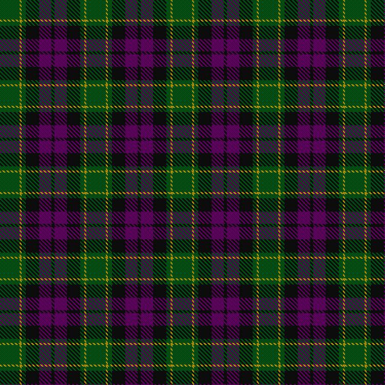 Tartan image: Wilsons' No.160. Click on this image to see a more detailed version.