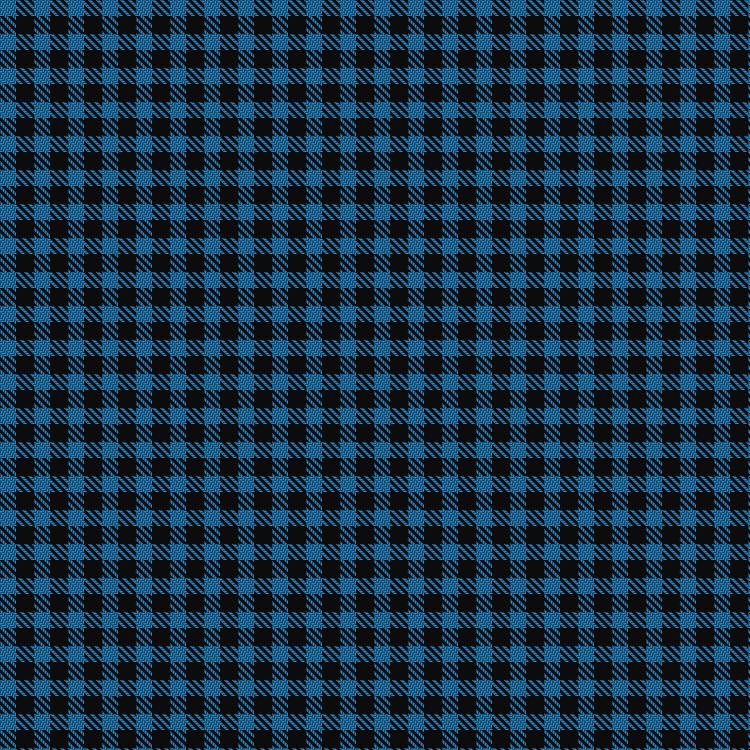 Tartan image: Wilsons' No.172. Click on this image to see a more detailed version.