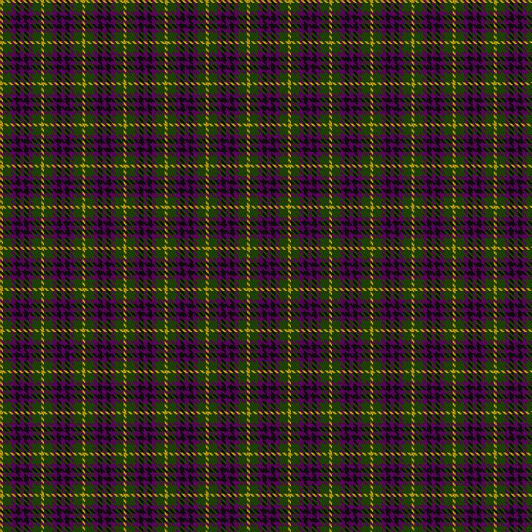Tartan image: Wilsons' No.173. Click on this image to see a more detailed version.