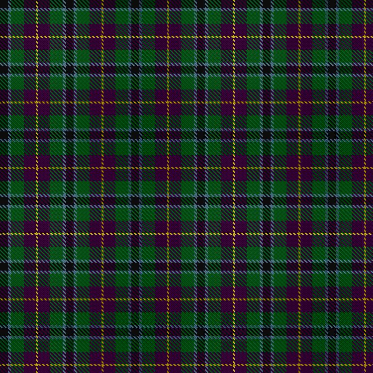 Tartan image: Wilsons' No.176. Click on this image to see a more detailed version.