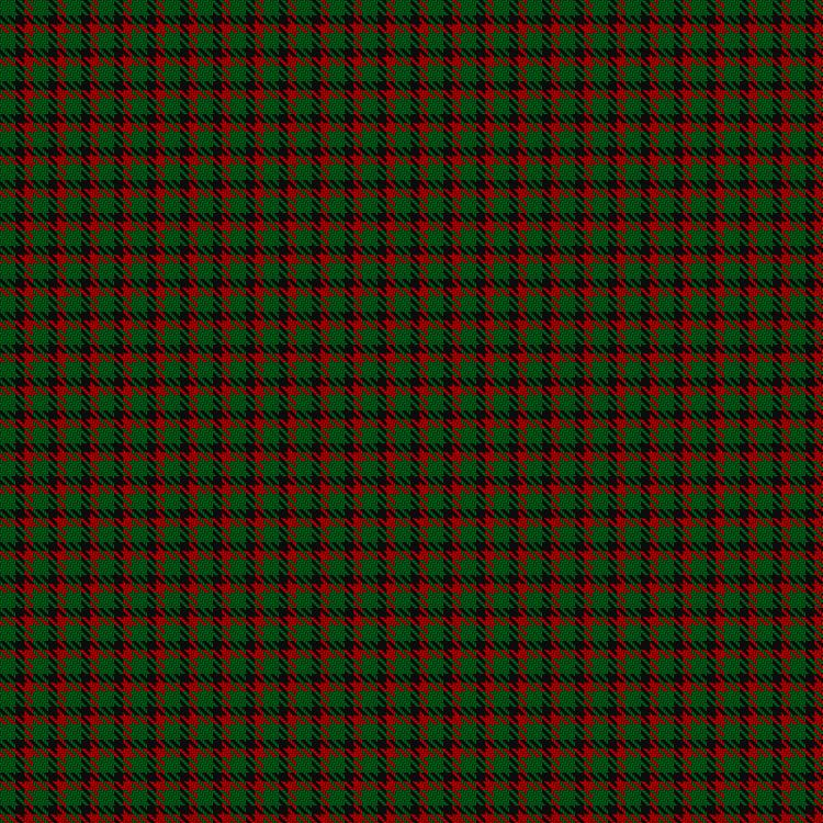 Tartan image: Wilsons' No.202. Click on this image to see a more detailed version.