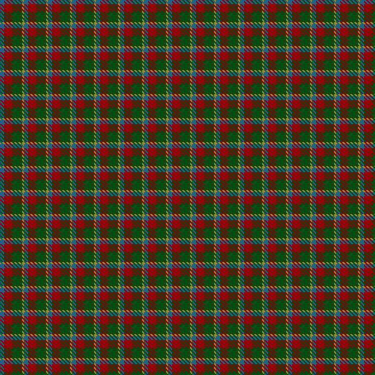Tartan image: Wilsons' No.203. Click on this image to see a more detailed version.