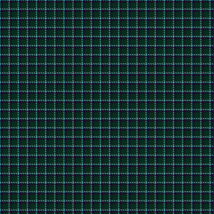 Tartan image: Wilsons' No.205. Click on this image to see a more detailed version.