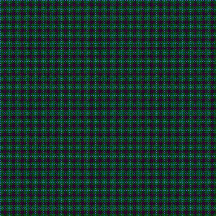 Tartan image: Wilsons' No.209. Click on this image to see a more detailed version.