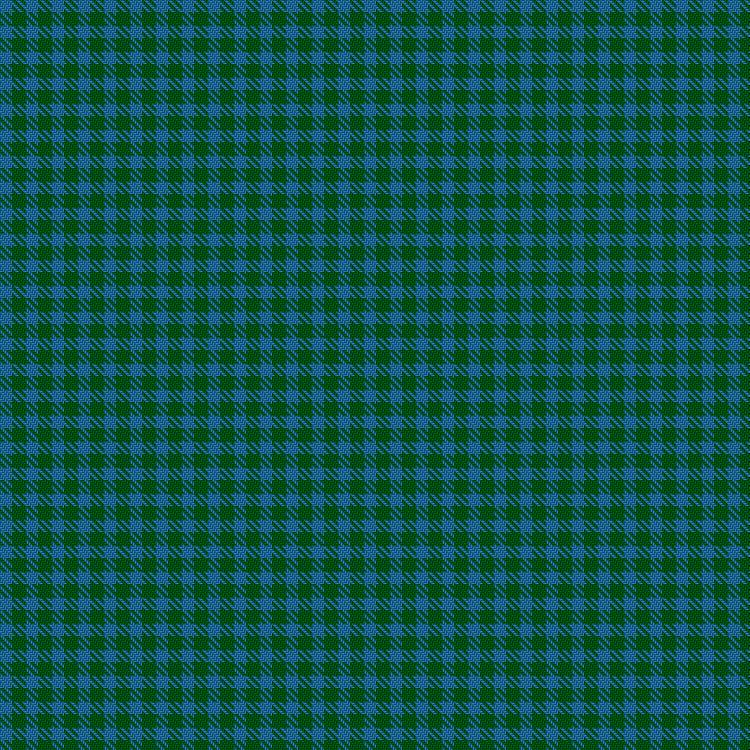 Tartan image: Wilsons' No.210. Click on this image to see a more detailed version.