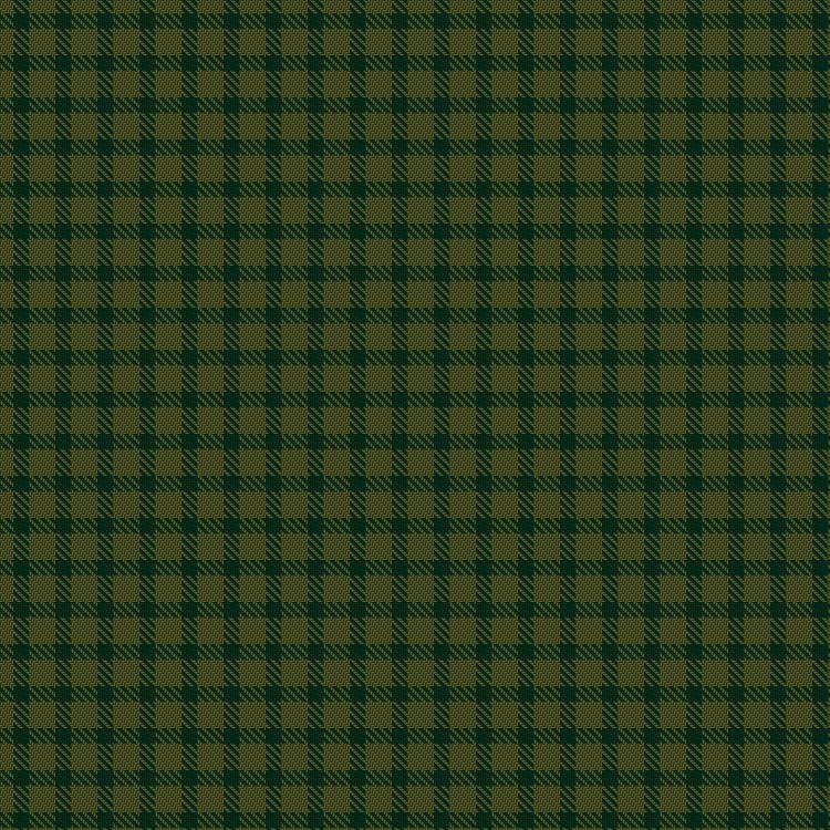 Tartan image: Wilsons' No.219. Click on this image to see a more detailed version.