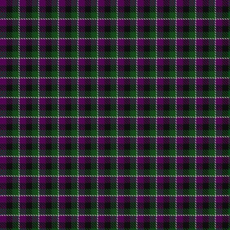 Tartan image: Wilsons' No.220. Click on this image to see a more detailed version.