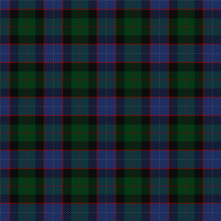Tartan image: Wilsons' No.221. Click on this image to see a more detailed version.