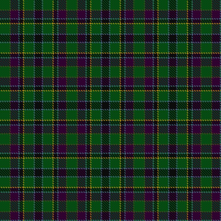 Tartan image: Wilsons' No.225. Click on this image to see a more detailed version.