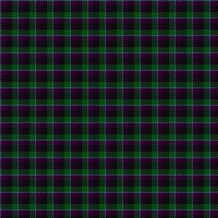 Tartan image: Wilsons' No.228. Click on this image to see a more detailed version.