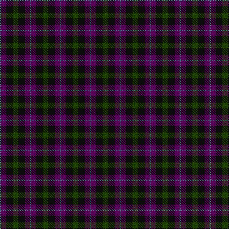 Tartan image: Wilsons' No.228 #2. Click on this image to see a more detailed version.