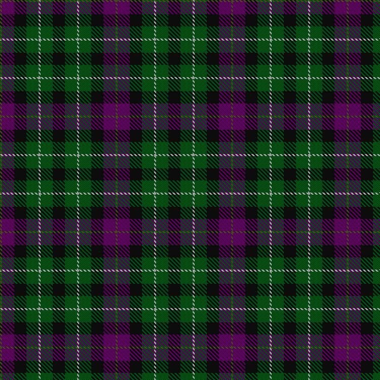 Tartan image: Wilsons' No.233. Click on this image to see a more detailed version.