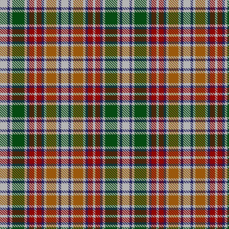 Tartan image: Womble. Click on this image to see a more detailed version.
