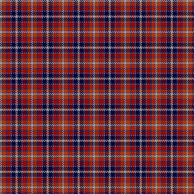 Tartan image: Wombles. Click on this image to see a more detailed version.