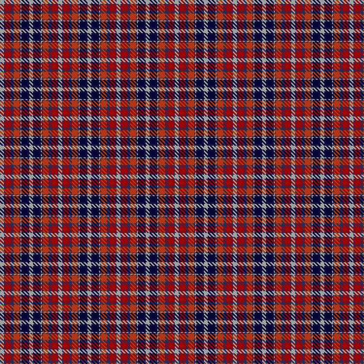 Tartan image: Wombles #3. Click on this image to see a more detailed version.