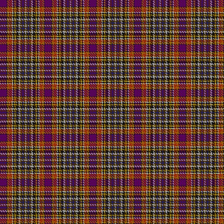 Tartan image: York Puppet. Click on this image to see a more detailed version.