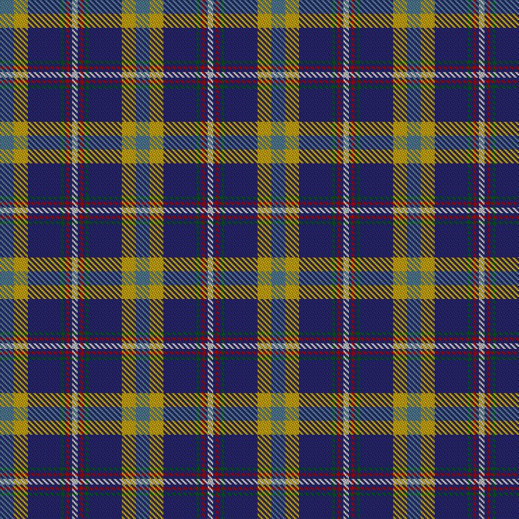 Tartan image: Hodgkinson. Click on this image to see a more detailed version.