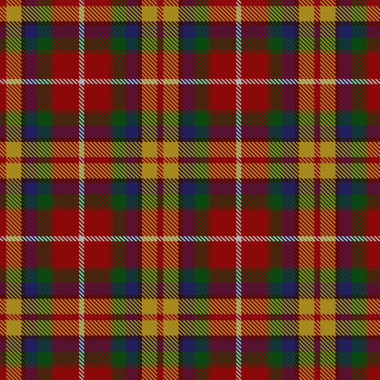 Tartan image: Young Presidents Organisation Dress. Click on this image to see a more detailed version.