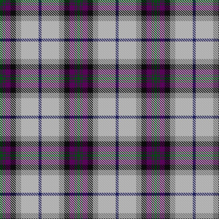 Tartan image: Alexander of Menstry Dress. Click on this image to see a more detailed version.