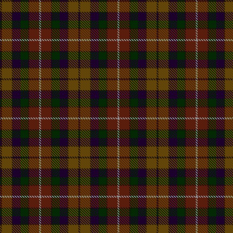 Tartan image: YPO Dress. Click on this image to see a more detailed version.