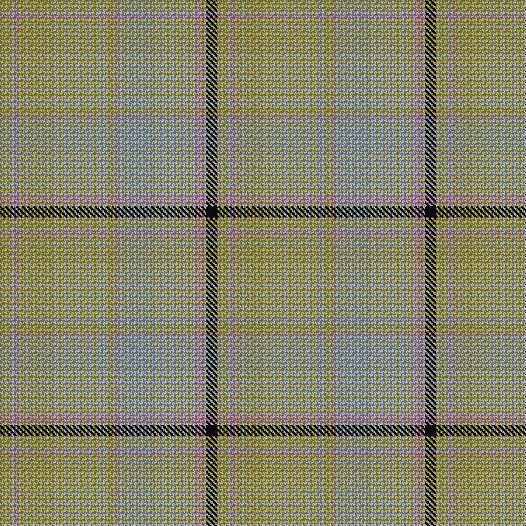 Tartan image: Shapiro (Personal). Click on this image to see a more detailed version.