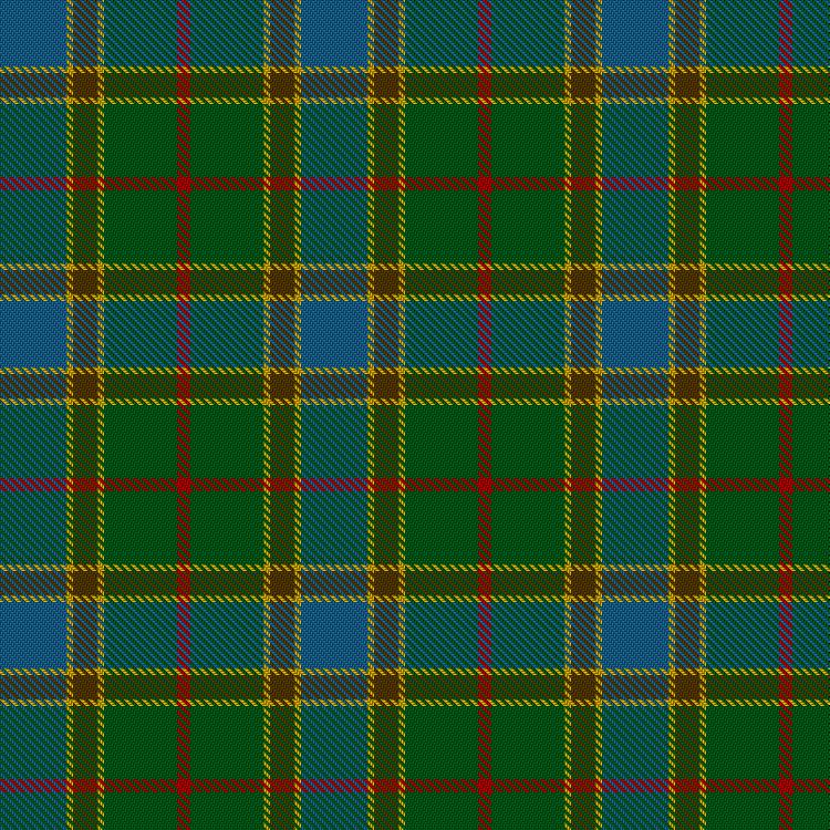 Tartan image: Balfour Hunting. Click on this image to see a more detailed version.