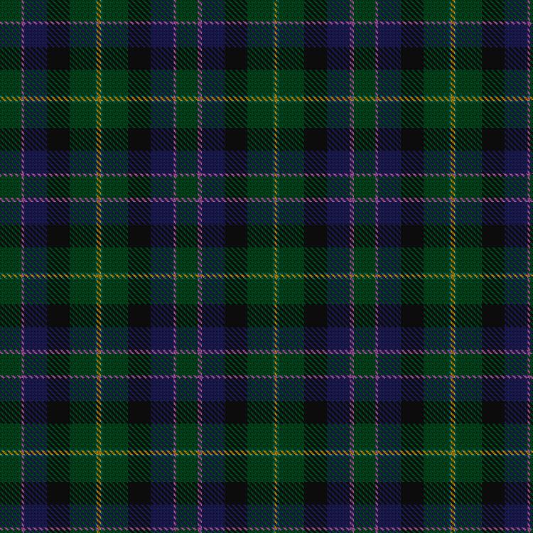 Tartan image: Camelot (Corporate). Click on this image to see a more detailed version.