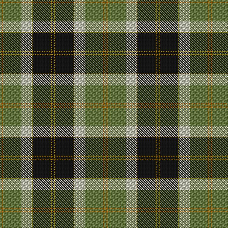 Tartan image: Bannockbane Green. Click on this image to see a more detailed version.