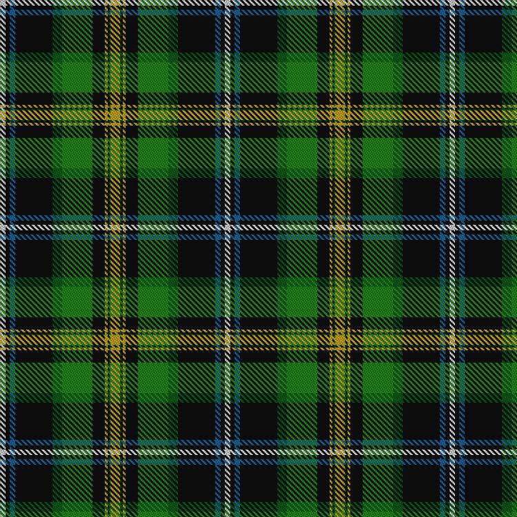 Tartan image: Gilhooley (Personal). Click on this image to see a more detailed version.