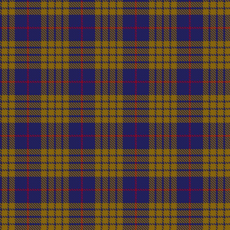 Tartan image: Latin. Click on this image to see a more detailed version.