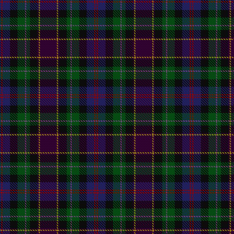 Tartan image: Boxell of West Niddry, Baron (Personal). Click on this image to see a more detailed version.