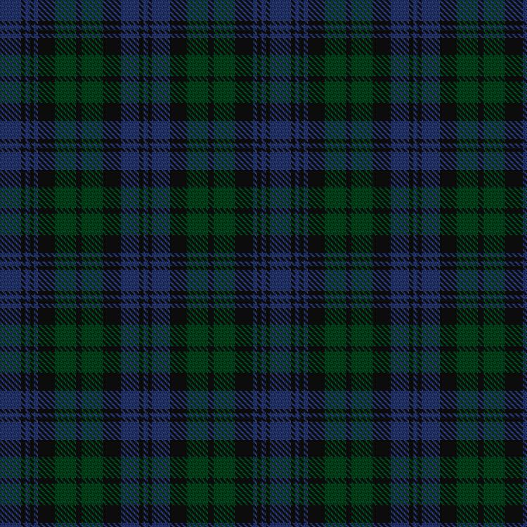 Tartan image: 1745  Association, The. Click on this image to see a more detailed version.