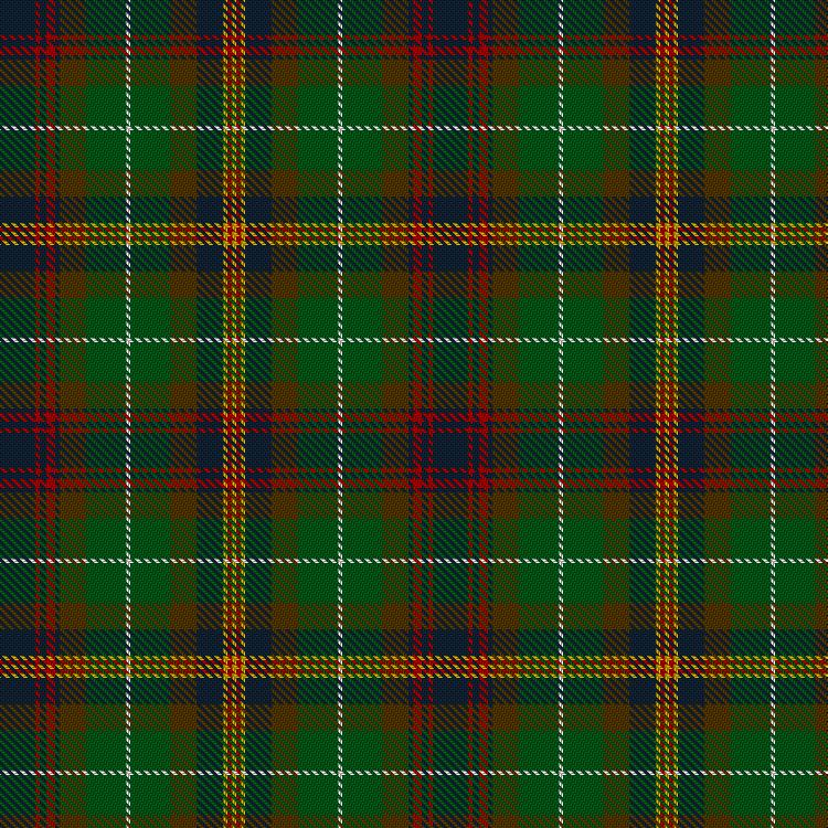 Tartan image: Allen - Northumbrian (Personal). Click on this image to see a more detailed version.