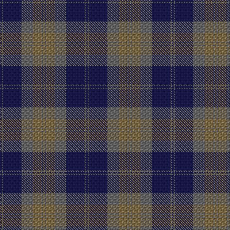 Tartan image: Bannockbane Brown #2. Click on this image to see a more detailed version.