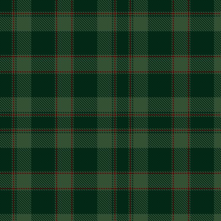 Tartan image: Donachie of Brockloch Hunting. Click on this image to see a more detailed version.