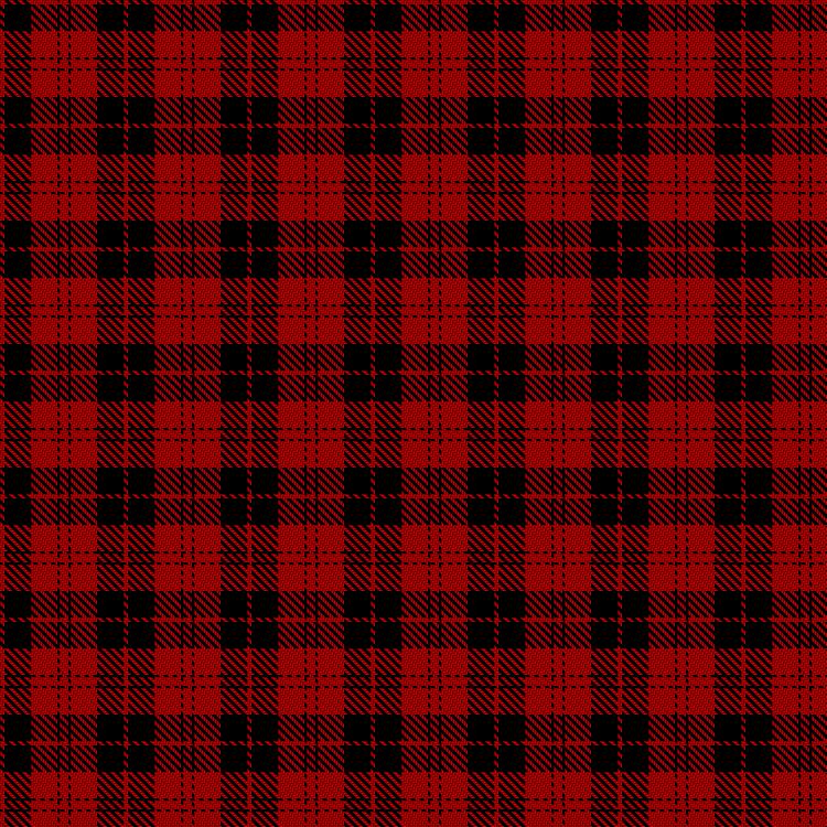 Tartan image: Campbell of Armaddie. Click on this image to see a more detailed version.