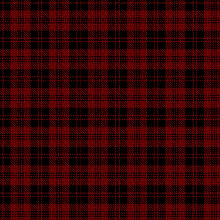 Tartan image: Campbell of Lochlane. Click on this image to see a more detailed version.
