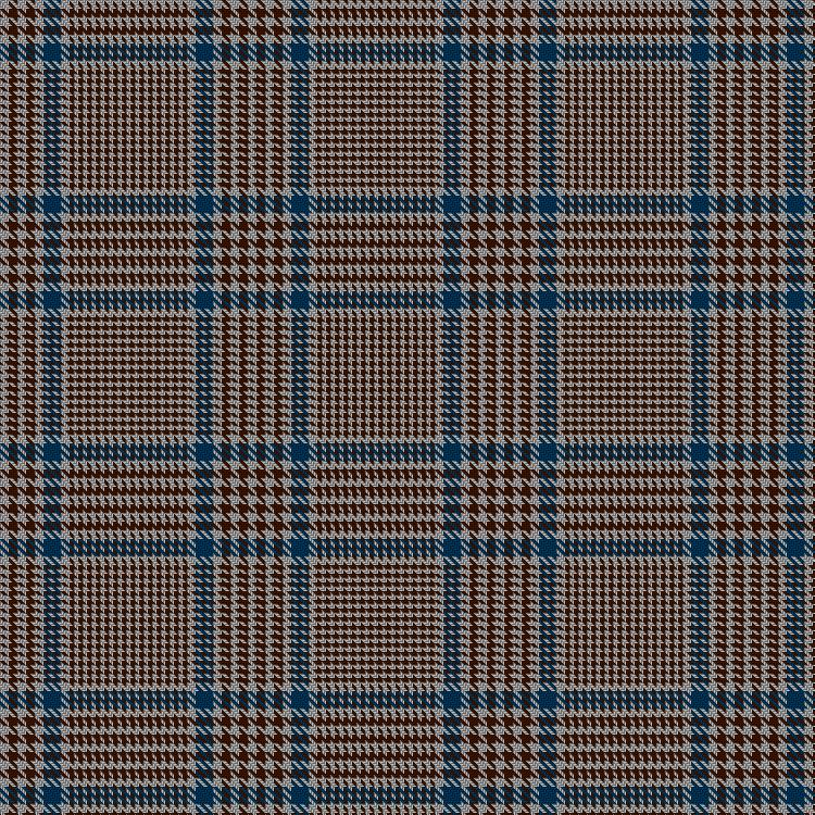 Tartan image: Prince of Wales Check. Click on this image to see a more detailed version.