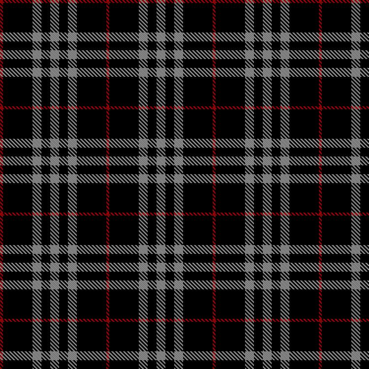 Tartan image: Burberry Black. Click on this image to see a more detailed version.