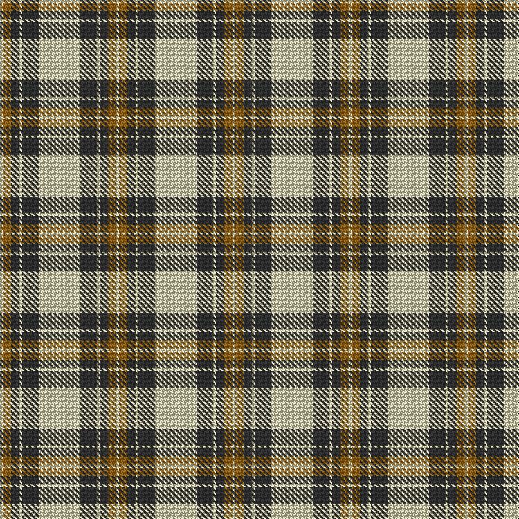 Tartan image: Burns. Click on this image to see a more detailed version.