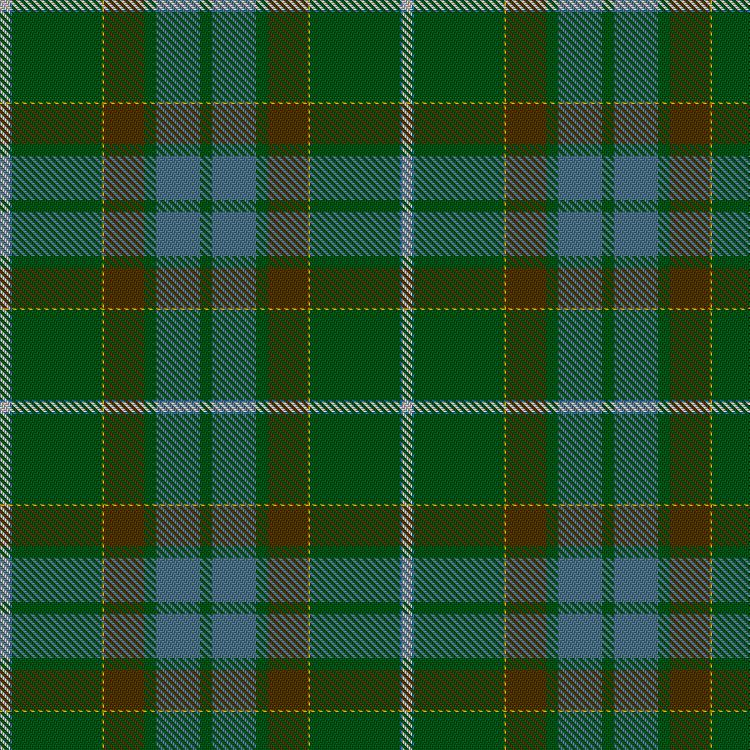 Tartan image: Elbrick Hunting (Personal). Click on this image to see a more detailed version.