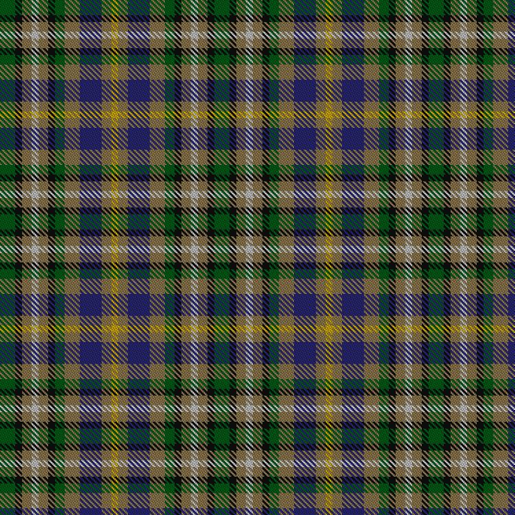 Tartan image: Roscommon County, Crest Range. Click on this image to see a more detailed version.