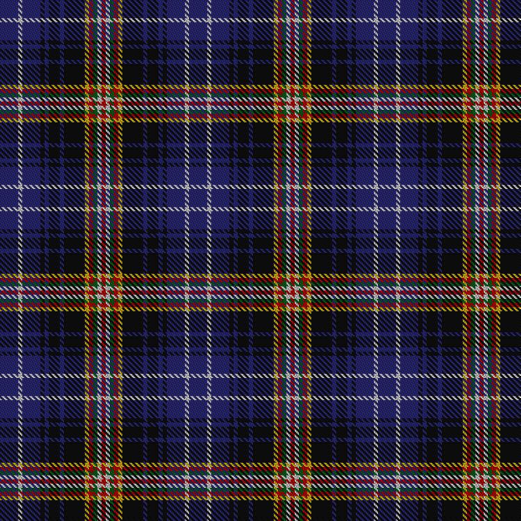 Tartan image: Salich-Plaja of St. Genis (Personal). Click on this image to see a more detailed version.