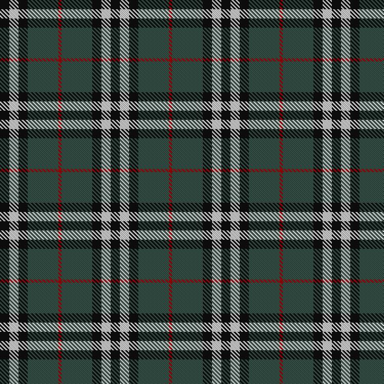 Tartan image: Burberry Hunting. Click on this image to see a more detailed version.