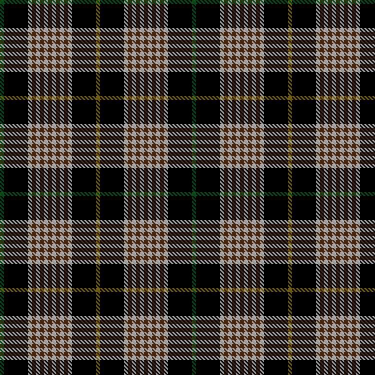 Tartan image: Alliance of Border Scots. Click on this image to see a more detailed version.